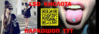 крисы Кингисепп