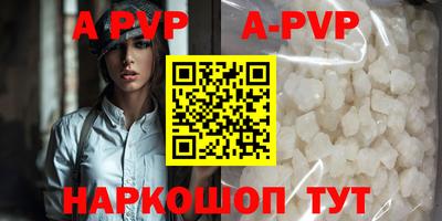 крисы Кингисепп