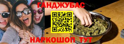 крисы Кингисепп