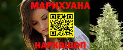 крисы Кингисепп