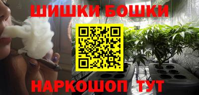 крисы Кингисепп