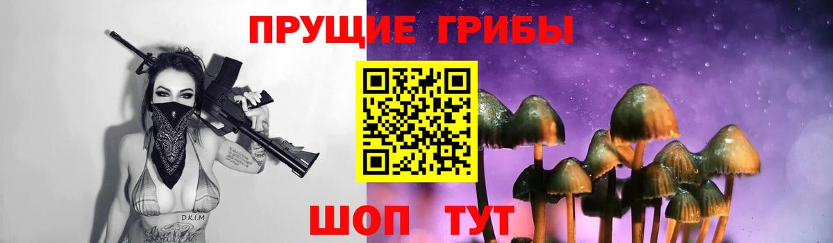 Куйбышев  где купить   Вход с VPN  Псилоцибиновые грибы Magic Shrooms 